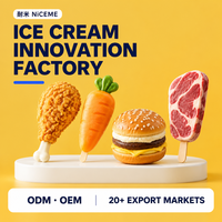 Nouvelles glaces créatives, possibilité de personnaliser la saveur et l'emballage, certification Halal, glace virale