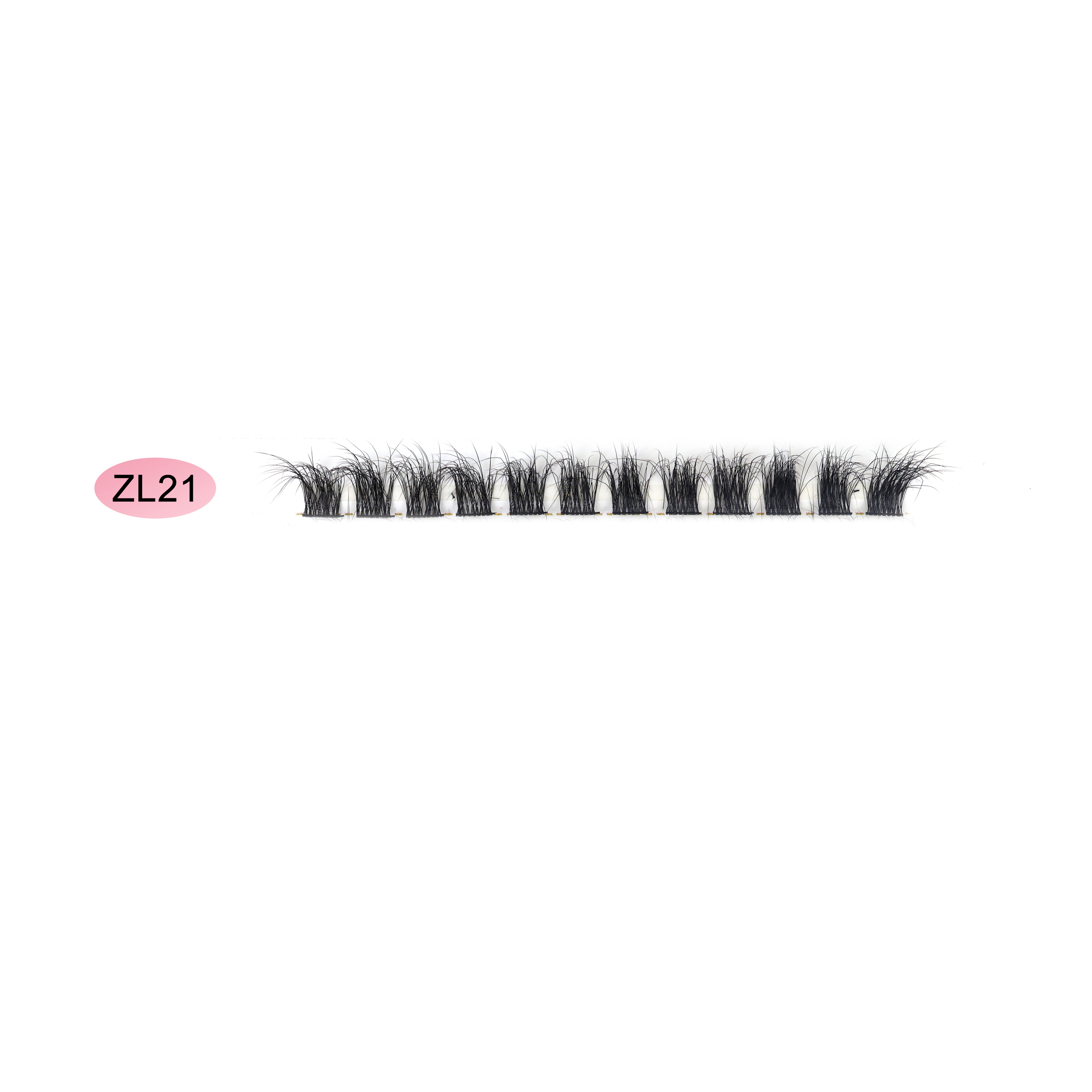 ZL21