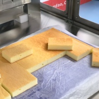 Coupe-gâteau industriel avec technologie de découpe ultrasonique des aliments, machine à découper les bases de gâteaux, prix