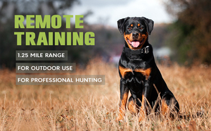 Entrenador Inteligente Recargable para Perros con 4 Modos: Sonido, Vibración, Choque y Refuerzo, Plástico Ecológico - Product Image 4