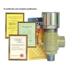 Válvula de Seguridad Industrial A21HWYF-16CP DN15 de Acero Inoxidable con Conexión Roscada para Alivio de Sobrepresión en Tuberías de Agua/Gas - Product Image 3