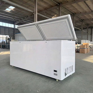 Congelador Horizontal de Puerta Sólida de Ahorro Energético, Congelador Rápido para Alimentos - Product Image 1