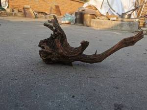 Pemandangan akuarium dari kayu apung, kayu apung platform penyu kering matahari pemandangan akuarium besar lanskap tangki ikan kayu - Product Image 3