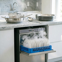 Mini lave-vaisselle automatique autonome sous comptoir pour cuisine, équipement intelligent pour hôtels et restaurants, machine à laver commerciale
