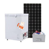 Congélateur solaire 108L à porte unique pour usage domestique et extérieur