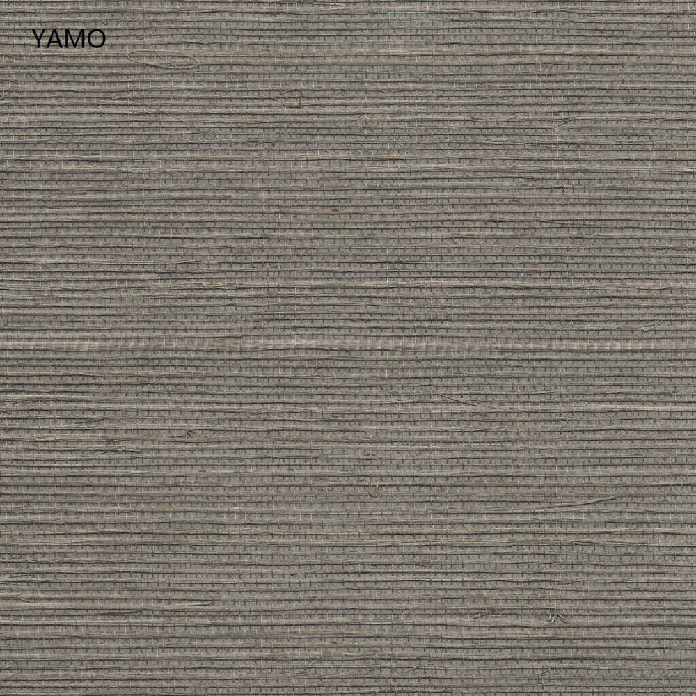 Y5-H06