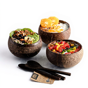 High Quality Cheap Price Coconut Shell Bowl Small Eco-Friendly Country Design for Presents Customized Made in Vietnam - Product Image 1