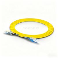 Simplex 2.0mm 3.0mm PVC Single Mode Single Fiber Jumper Whoselase Fiber Patch Cord Fibra Optica