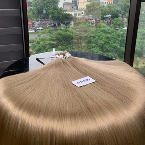 Calidad de lujo Nasa Hair Brand Sarah Modelo Vietnamita Virgen Cabello humano Extensiones a granel 100g Colores más claros Solo recto - Product Image 1