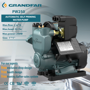Pompe à eau propre auto-amorçante GRANDFAR OEM en fonte 250W 0.34HP 33L/min, silencieuse et automatique, modèle PW250, haute performance - Product Image 1