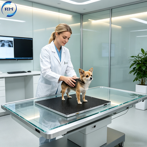 Détecteur à panneau plat vétérinaire 17*17 pouces pour une sortie radiographique claire des os et des tissus mous des animaux - Product Image 6
