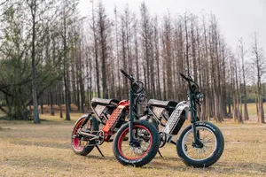 750W 1000W 1125W Max Power 32MPH 51KM/H Top Speed 48v15AH 720WH Lithium Battery 80km Range Electric Fat Tire Bike For Adult