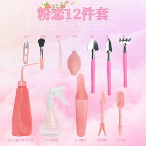 Kit d'outils pour plantes succulentes, 12 pièces, kit de jardinage en plastique pour la maison, balcon, cour, terrarium - Product Image 2
