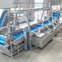 Volautomatische Centrale Keukenverwerkingsapparatuur Voorgemaakte Groente-En Fruitmachines Met Kerncomponenten
