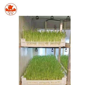 ห้องเพาะเมล็ดพันธุ์แบบขายดี ห้องเพาะงอกเชิงพาณิชย์ เครื่องปลูกถั่วแบบไฮโดรโปนิกส์ เครื่องทำต้นอ่อน - Product Image 4