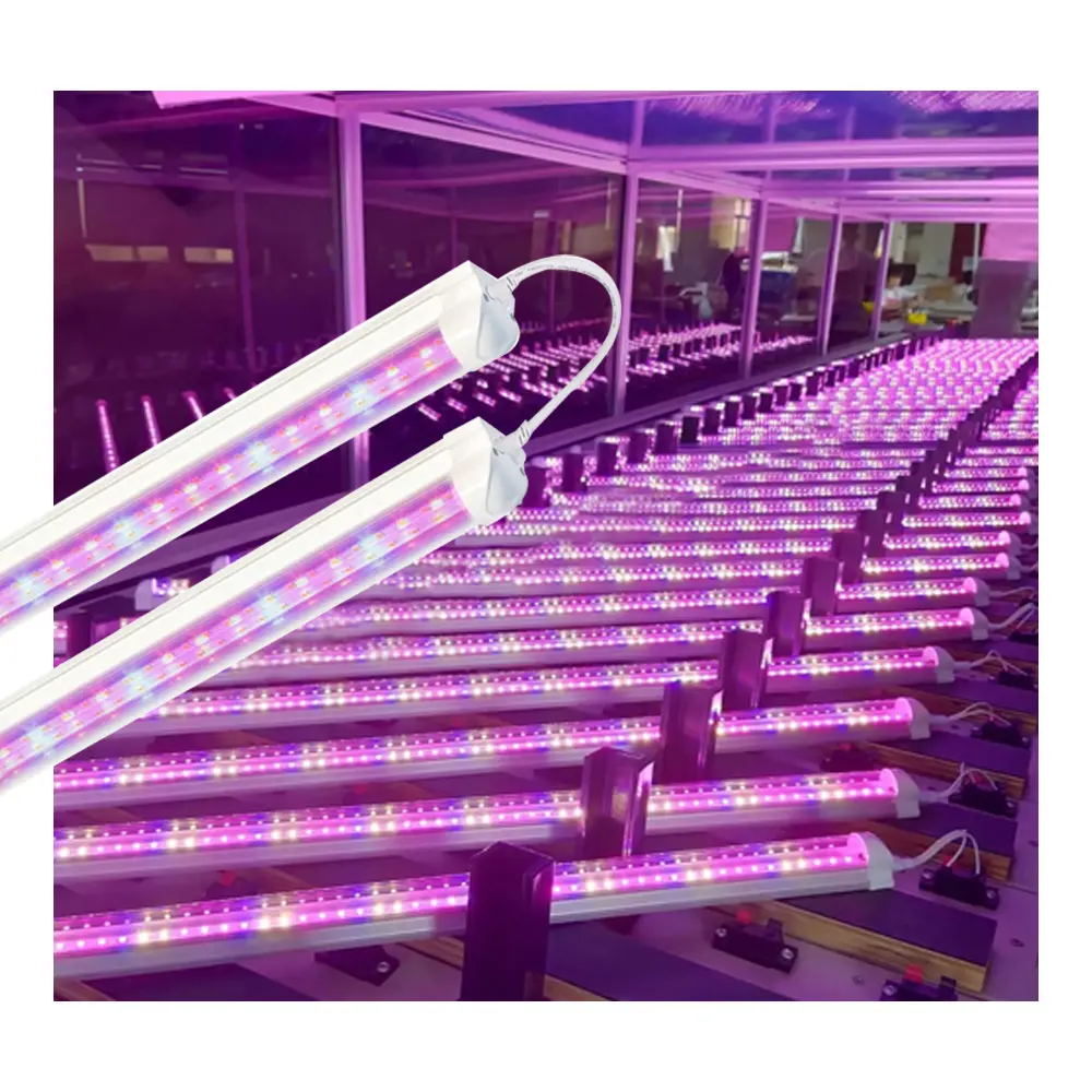 Lampu tembak penumbuh LED spektrum penuh efisiensi tinggi T5 T8 tabung solusi paralel cahaya hidroponik hortikultura untuk tanaman dalam ruangan