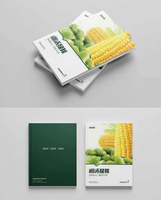 Brochures personnalisées avec couverture rigide en papier offset |   Manuels d'employés pour entreprises et sociétés avec impression offset sur carton