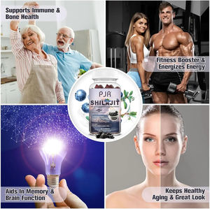 Bonbons de Shilajit sans sucre OEM/ODM pour adultes Supplément de santé Soutien énergétique naturel Stimulation immunitaire 97% Contenu de Shilajit - Product Image 3