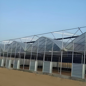 Serre en acier multi-chapelles avec structure en plastique, grande serre en <span class=keywords><strong>film</strong></span> PE facile à assembler, personnalisable pour jardins botaniques et sites touristiques - Product Image 4