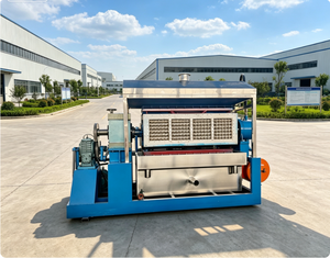 Machine à fabriquer des barquettes à œufs en papier écologiques pour l'Espagne et le <span class=keywords><strong>Portugal</strong></span>, industrie durable - Product Image 4
