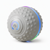 Balle électrique interactive pour animaux de compagnie, résistante aux morsures, pour chien et chat, pour le jeu quotidien