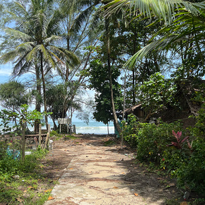 Premium Whiskey Shaped <b>Reed</b> <b>Diffuser</b> Spring Fruits Scent High Quality Glass Container Long Lasting Fragrance Gift Packaging - Product Image 5