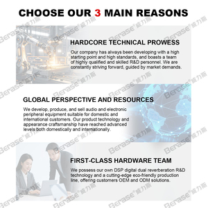 Berase Passen Sie KS-400110V-240V Home Karaoke Professional Digital-Leistungs verstärker mit MIC/Remote/DSP-Prozessor an - Product Image 5