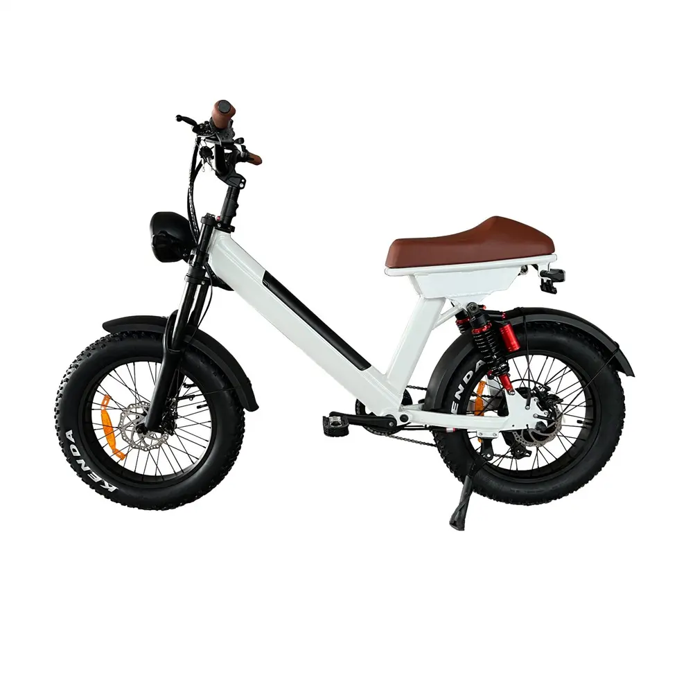 Bicicleta Elétrica De Neve E Bicicleta Longa Garantia Ebike Cruiser Ciclismo 48V Velo Electrique Homm Chopper EMTB Bicicleta Bikecycle