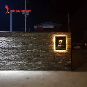Fabrika kaynağı otel duvar dekorasyon led 3d ışık kutusu logo işareti