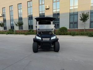 Carrito de Golf Eléctrico de 2 Plazas Fabricado en China - Product Image 6