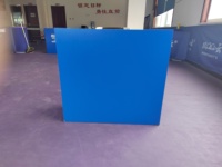 Table de tennis de table professionnelle standard C-TOP ET-0025, panneau de fibres à haute densité, pliable, portable, divertissement sportif