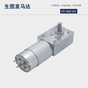 มอเตอร์เกียร์ดีซี Stf-5840-555 24V 36V แม่เหล็กถาวร แบบแปรงถ่าน ติดตั้งแบบหน้าแปลน ปิดมิดชิด แรงบิดสูง ล็อคตัวเองได้ - Product Image 2