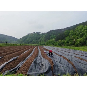 Toile <span class=keywords><strong>de</strong></span> paillage tissée noire robuste pour cours et jardins, résistante aux déchirures et à excellente perméabilité à l'<span class=keywords><strong>eau</strong></span> - Product Image 5