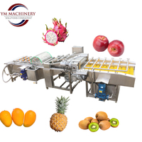 Fruit- en groentewasmachine met sproeisysteem voor verwerkingsbedrijven