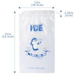 Vente en gros sac de glace en plastique transparent de 10 lb imprimé personnalisé avec cordon de serrage en stock