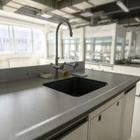 Hotte d'extraction chimique compacte de table avec poste de travail tout en acier, rideau coulissant et ports utilitaires pour la manipulation des échantillons