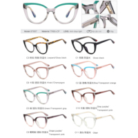 MS 97687 Gafas Ópticas de Moda para Mujer, Diseño Ojo de Gato, Anti-Luz Azul, TR90+CP, Montura Grande, Logotipo Personalizado, Monturas de Gafas de Diseño Colorido
