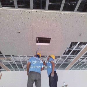 Với tấm thạch cao âm thanh. Xây Dựng & bất động sản>> bảng>> tấm Trần đục lỗ 1200x2400mm - Product Image 6