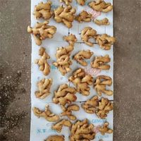 新鲜作物热销中国出口价格150g/200g/250g/1千克中国成熟鲜姜