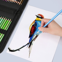 72 120 ensemble de crayons de couleur de couleur de qualité supérieure avec des pigments riches à noyau lisse plomb dans un sac à main pour artistes cadeau parfait