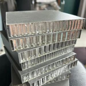 Aluminum <b>Honeycomb</b> Door <b>Panel</b> Lightweight & Durable, Fireproof & Waterproof, Custom Sizes - Product Image 1