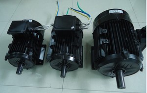 Precio al por Mayor de Motor CC sin Escobillas BLDC 24v 36v 60v 1500w/1.5 kw / 2hp  3000rpm - Product Image 3