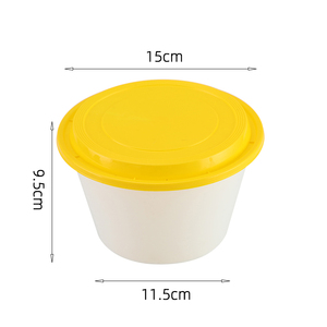 Custom Plastic Storage Lunchbox Bento, Take Out Food Containers Box