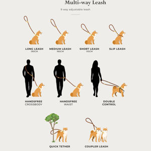 Waterproof Adjustable Custom PVC Hands Free <strong>Dog</strong> <strong>Leash</strong> 5 in 1 Tangle Free Walking Training Pet Leads Wholesale - Product Image 5