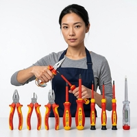 Ensemble d'outils d'électricien isolés VDE 13 pièces, kit de pinces et tournevis 1000V pour réparation haute tension