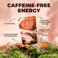 Café de Hongos y Achicoria para un Apoyo Vitalidad Avanzado, Rendimiento Natural y Saludable, Selección Profesional para el Mercado de los Emiratos Árabes Unidos