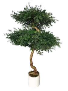 Nuevo árbol <span class=keywords><strong>de</strong></span> pino árbol artificial bonsái <span class=keywords><strong>de</strong></span> <span class=keywords><strong>cedro</strong></span> australiano para decoración <span class=keywords><strong>de</strong></span> Bodas <span class=keywords><strong>de</strong></span> jardín - Product Image 3