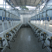 Parc de traite automatique à chevrons avec système de dosage en verre pour fermes laitières de chèvres, moutons et vaches