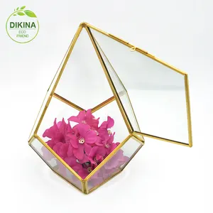 hanging vase containers gold air plants kit geometric glass terrarium