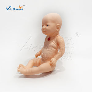 การพยาบาลผ่านหลอดลมระบบทางเดินหายใจของทารกขั้นสูงพร้อม PVC เป็นมิตรกับสิ่งแวดล้อมและโครงสร้างทางกายวิภาคโดยละเอียด - Product Image 2